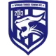 Logo Wuhan Three Towns FC